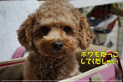 DSC02735.JPG