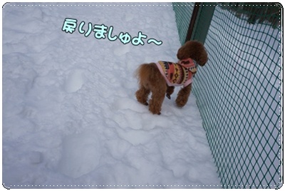 DSC03508.JPG