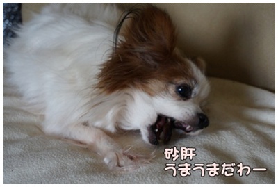 DSC03685.JPG