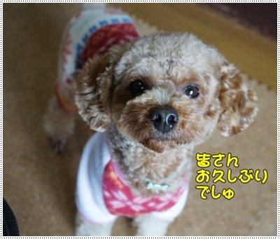 DSC03724.JPG