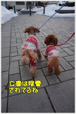 DSC03771.JPG