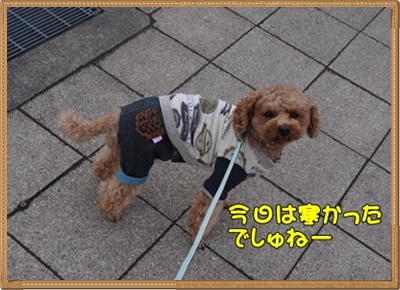 DSC05031.JPG