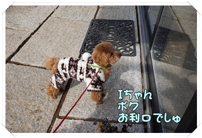 DSC05130.JPG