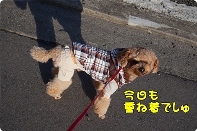 DSC05307.JPG