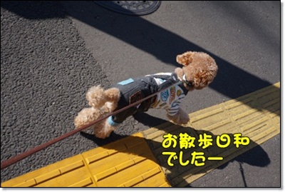 DSC05429.JPG