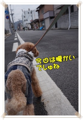 DSC05587.JPG