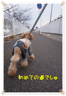 DSC05718.JPG