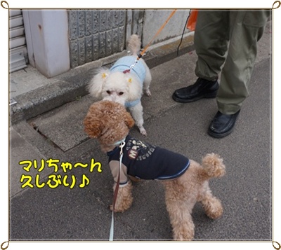 DSC05784.JPG