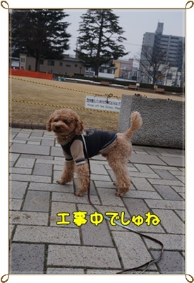 DSC05798.JPG