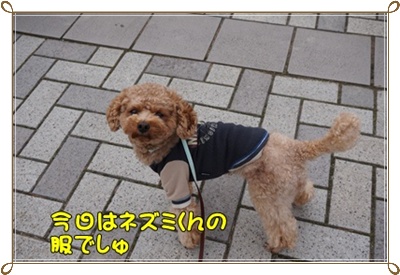 DSC05800.JPG
