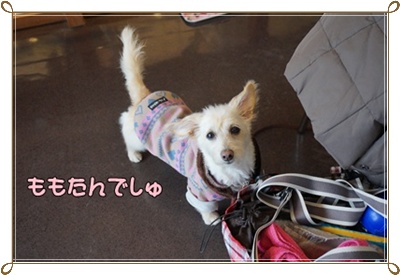 DSC05846.JPG