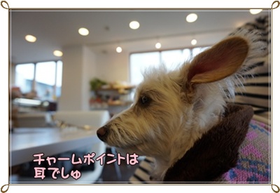 DSC05860.JPG