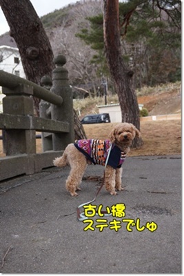 DSC05979.JPG