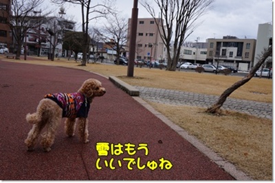 DSC06010.JPG