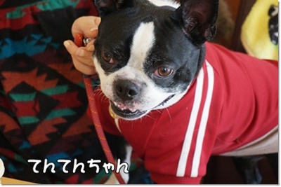 DSC06036.JPG