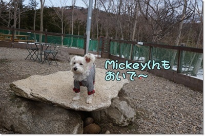 DSC06052.JPG
