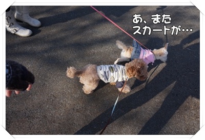 DSC07111.JPG