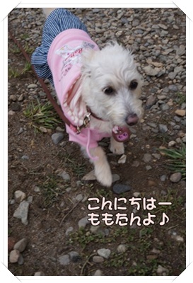 DSC06988.JPG