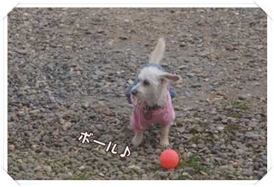 DSC07065.JPG