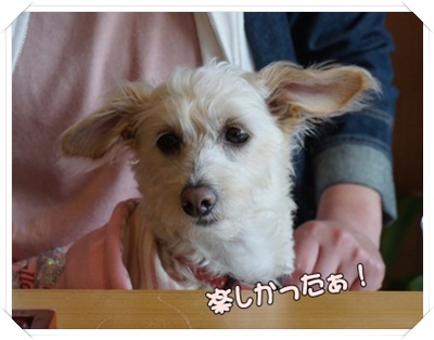 DSC07075.JPG