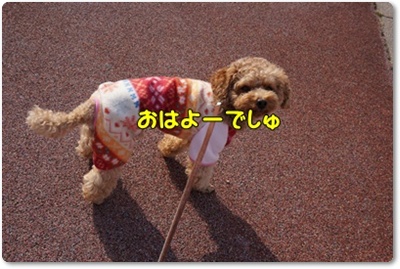 DSC07140.JPG