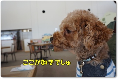 DSC07165.JPG