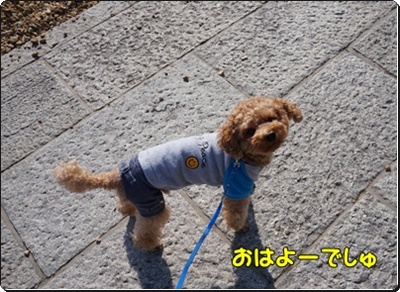 DSC07320.JPG