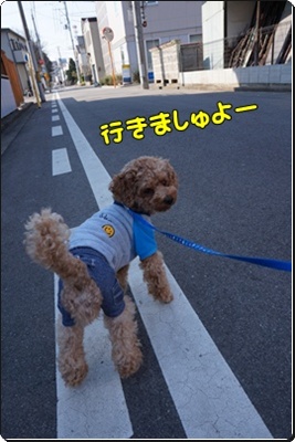 DSC07324.JPG