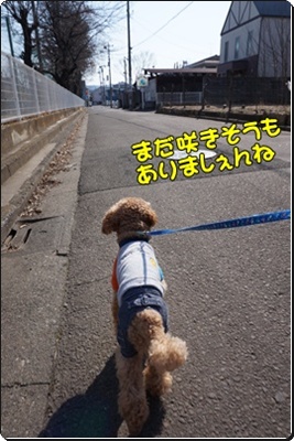 DSC07332.JPG