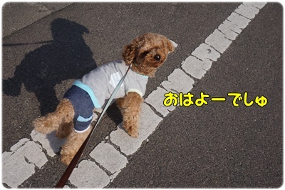 DSC07398.JPG
