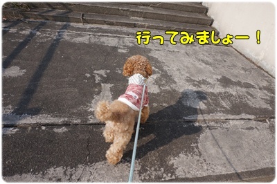 DSC07406.JPG