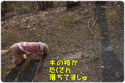 DSC07443.JPG