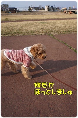 DSC07446.JPG
