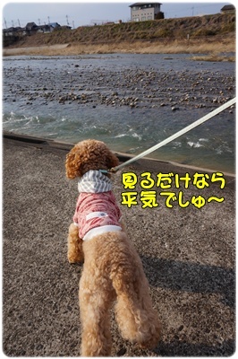 DSC07453.JPG