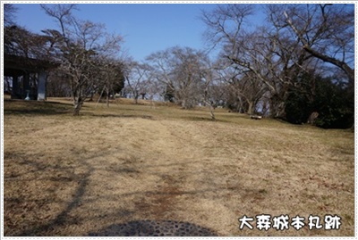 DSC07696.JPG