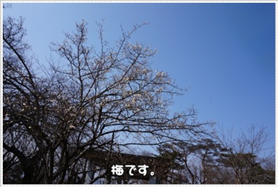 DSC07698.JPG