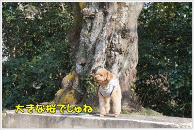 DSC07705.JPG