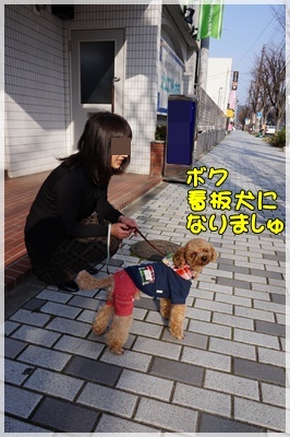 DSC07825.JPG