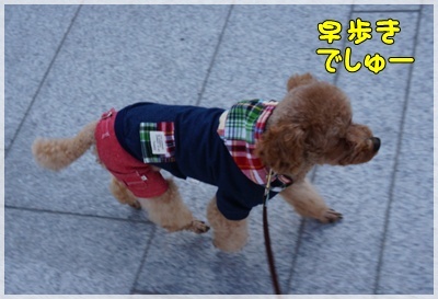 DSC07836.JPG