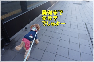 DSC07859.JPG