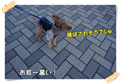 DSC07946.JPG