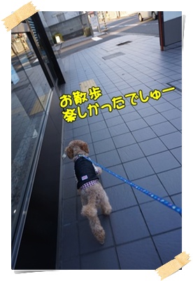 DSC07980.JPG