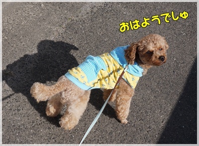 DSC07985.JPG