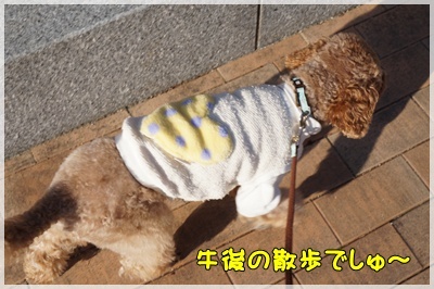DSC08047.JPG