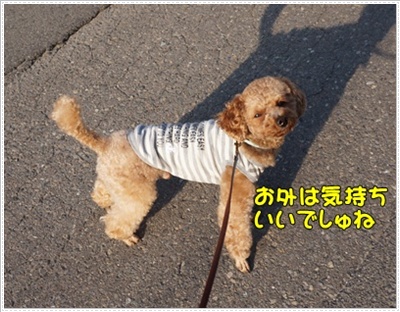 DSC08106.JPG