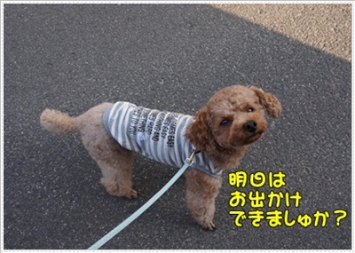 DSC08114.JPG