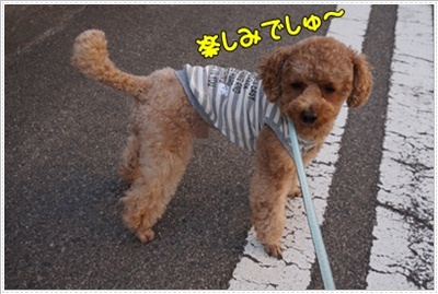DSC08117.JPG
