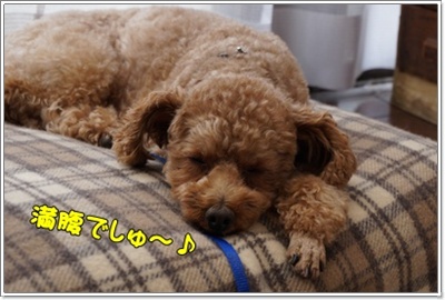 DSC08124.JPG