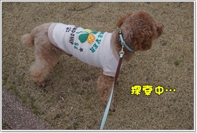 DSC08135.JPG