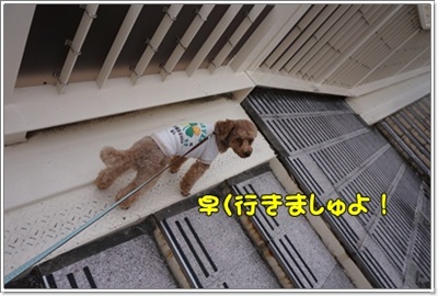 DSC08146.JPG